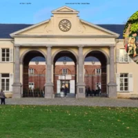 Pregnant cow rescued from pool by Pepingen fire crew