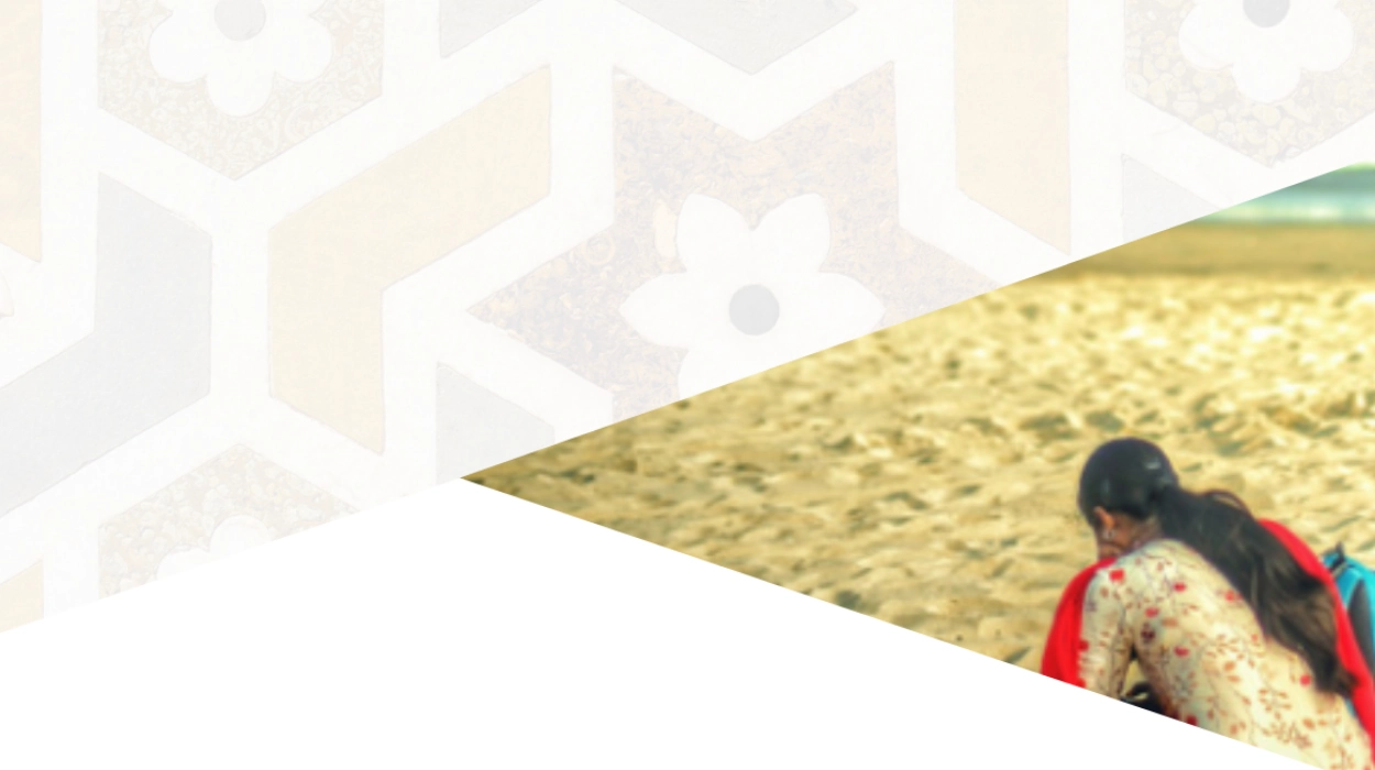 Programme Statistics and Success Metrics