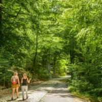 Promoting healthy outdoor experiences Brussels gardens website upgrade