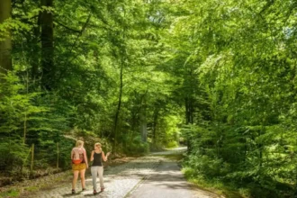 Promoting healthy outdoor experiences Brussels gardens website upgrade