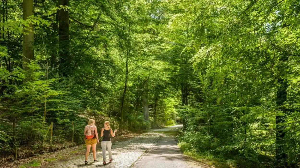 Promoting healthy outdoor experiences Brussels gardens website upgrade