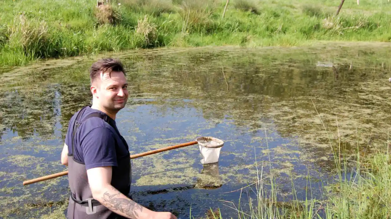Rare crested newt found in Kruibeke pond