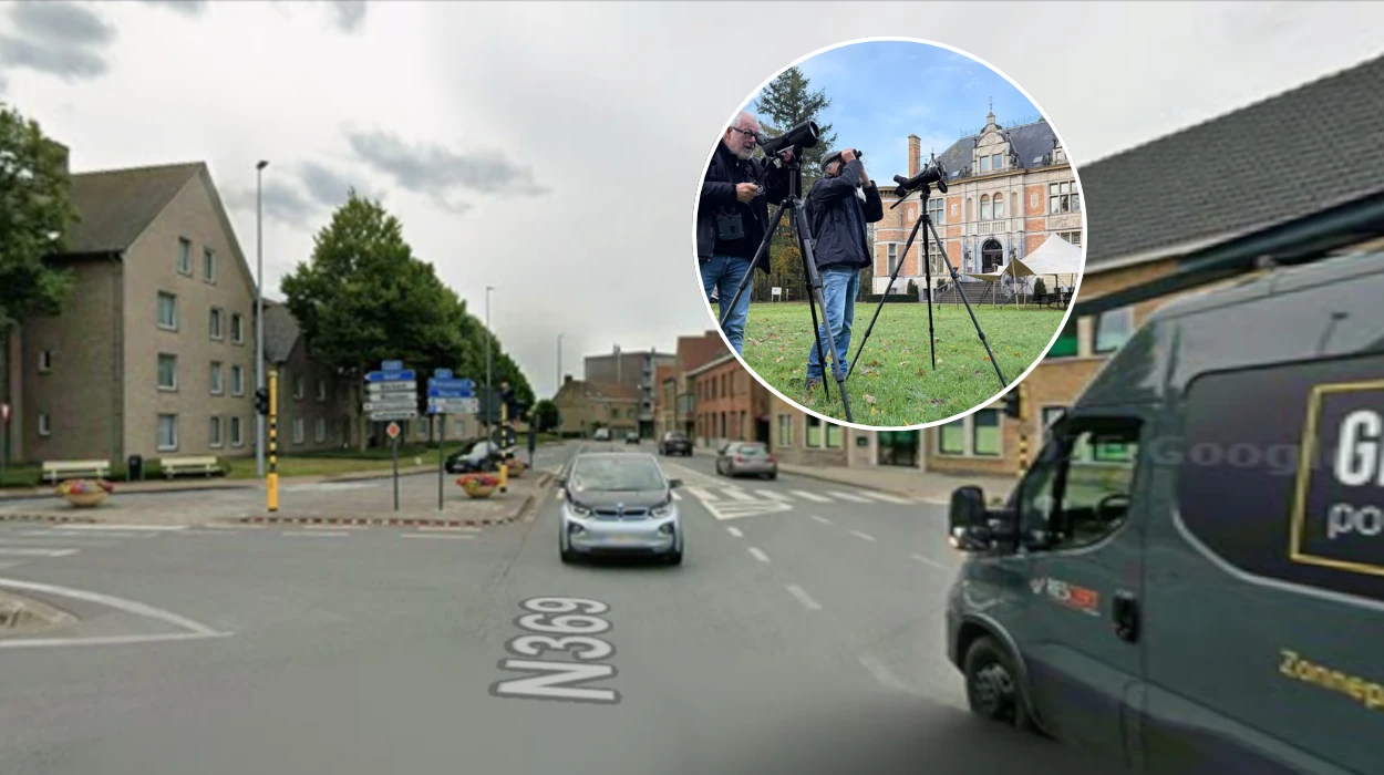 Rare eagle owl spotted in Woumen’s De Blankaart by experts