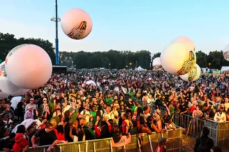 Reggae festival in Geel sees 36,000 visitors and 145 drug cases