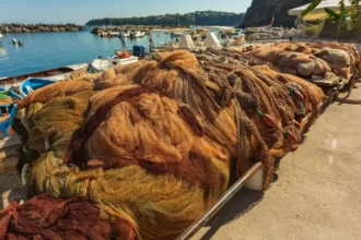 Report highlights success of EU plan in reviving Mediterranean fish stocks