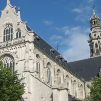 Residents protest tree felling at 12-apartment Antwerp project