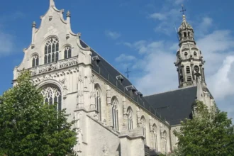 Residents protest tree felling at 12-apartment Antwerp project