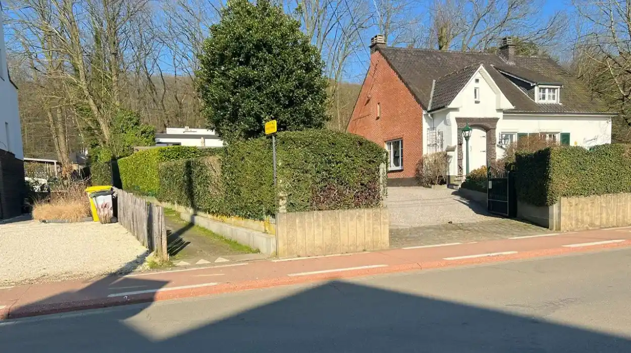 Rotselaar cuts hedge at fatal accident site, owners object