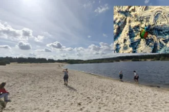 Rowen Boons spots a large pupa robber beetle in Lommel
