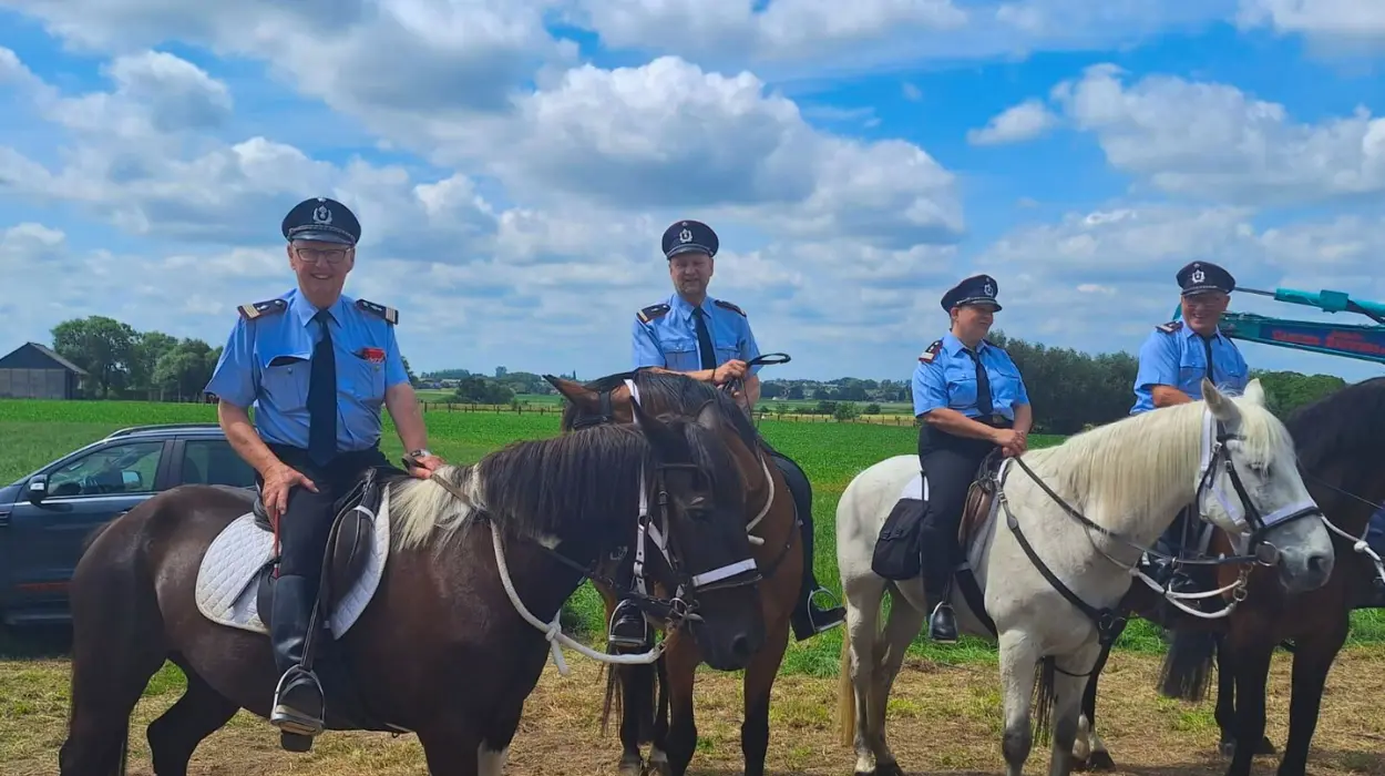 Runaway horse injures 3 at Ronse Fiertelommegang