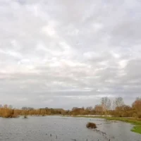 Schulensmeer Lummen recreation ban lifted after 4 months