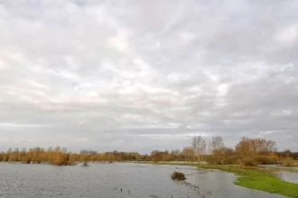 Schulensmeer Lummen recreation ban lifted after 4 months