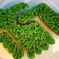 Seeking climate consensus amidst Sino-American rivalry