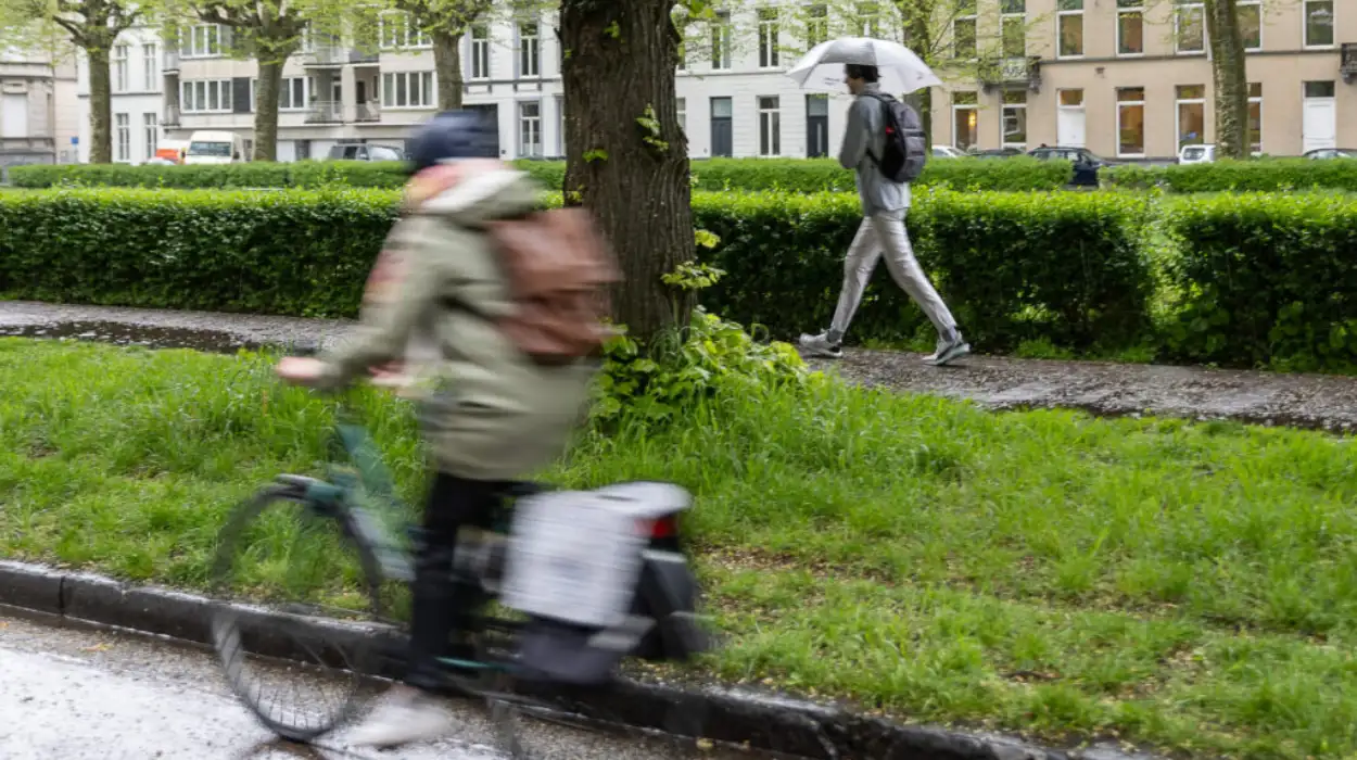 Severe Weather Alert