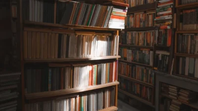 Shadow Libraries: The Future? 