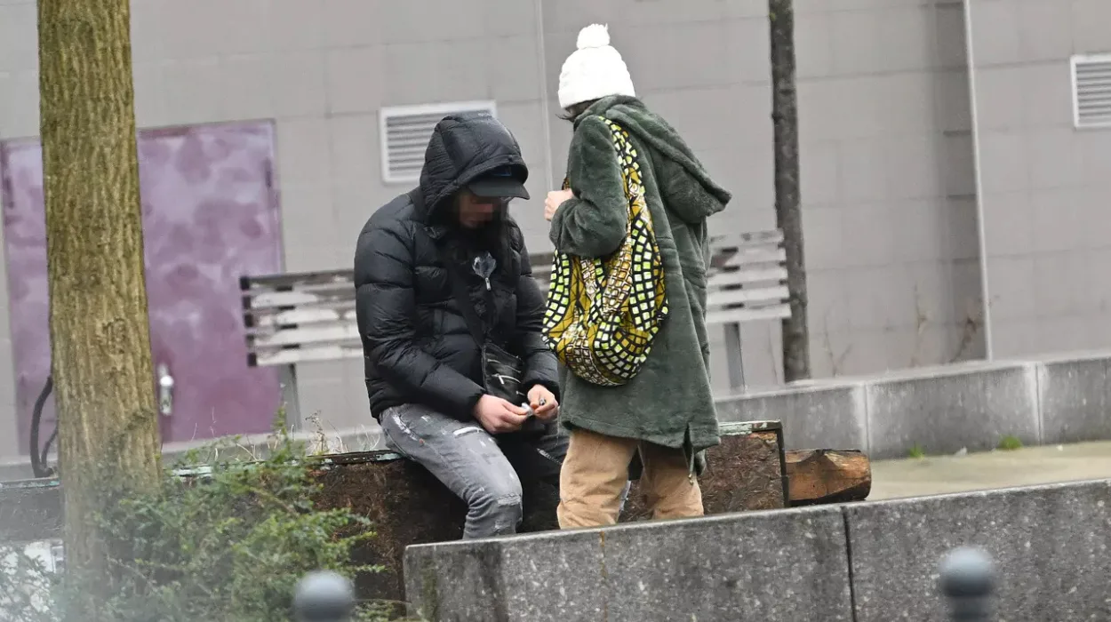 Sint-Gillis Drug users, dealer caught in police operation