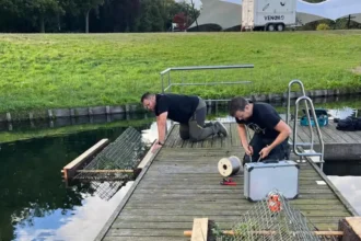 Sint-Niklaas De Ster domain combats blue-green algae with clay