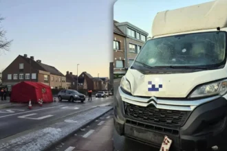 Sint-Niklaas Pedestrian injured after collision with van