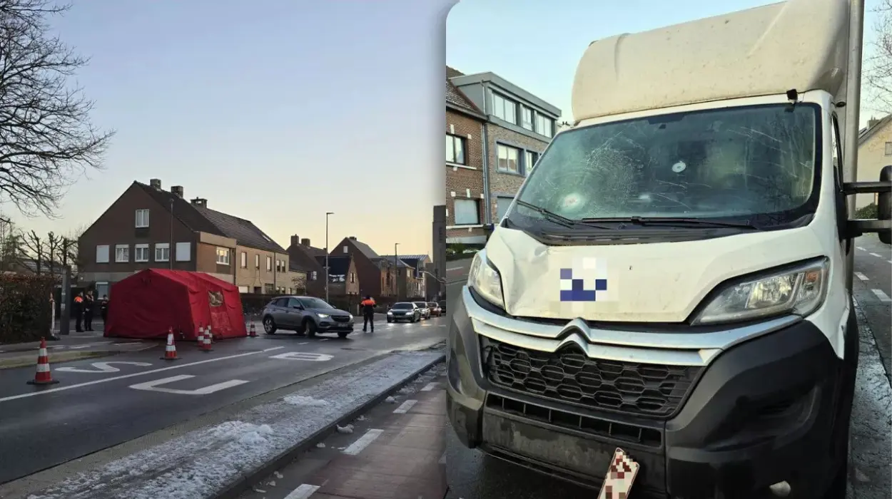 Sint-Niklaas Pedestrian injured after collision with van