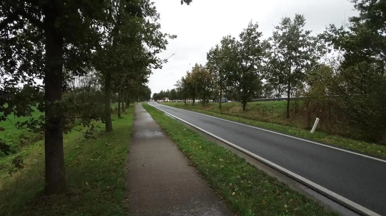 Sint-Niklaas: Work begins on 2-Way N41 cycle path