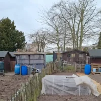 Sint-Niklaas gardeners forced to leave 11 plots by May 1