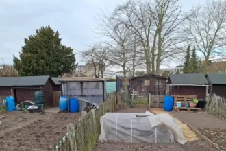 Sint-Niklaas gardeners forced to leave 11 plots by May 1