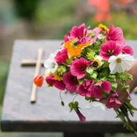 Sint-Niklaas offers a free shuttle bus to Heimolen cemetery for All Saints' weekend