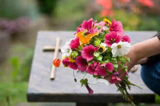 Sint-Niklaas offers a free shuttle bus to Heimolen cemetery for All Saints' weekend