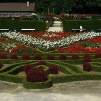 Sint-Pieters-Leeuw residents oppose Chiro building plan