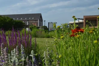 Sint-Truiden's Aster Hospital joins €1.05M nature project