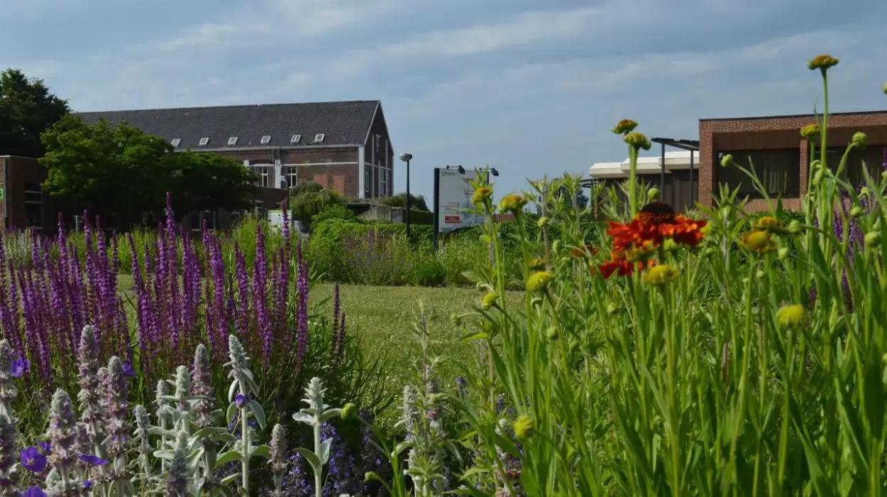 Sint-Truiden's Aster Hospital joins €1.05M nature project