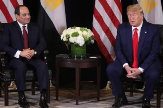 Sisi and Trump discuss Gaza ceasefire and regional peace