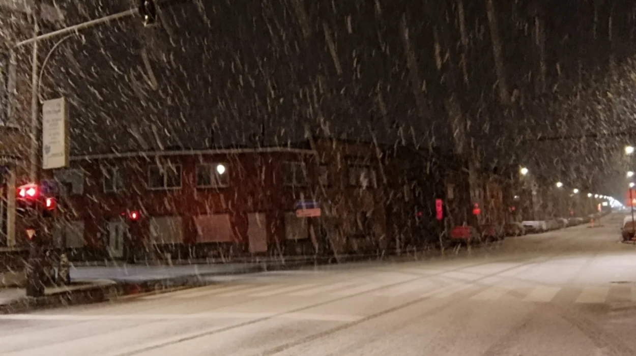 Snow Blankets Parts of Belgium, Bringing Winter Magic and Travel Challenges