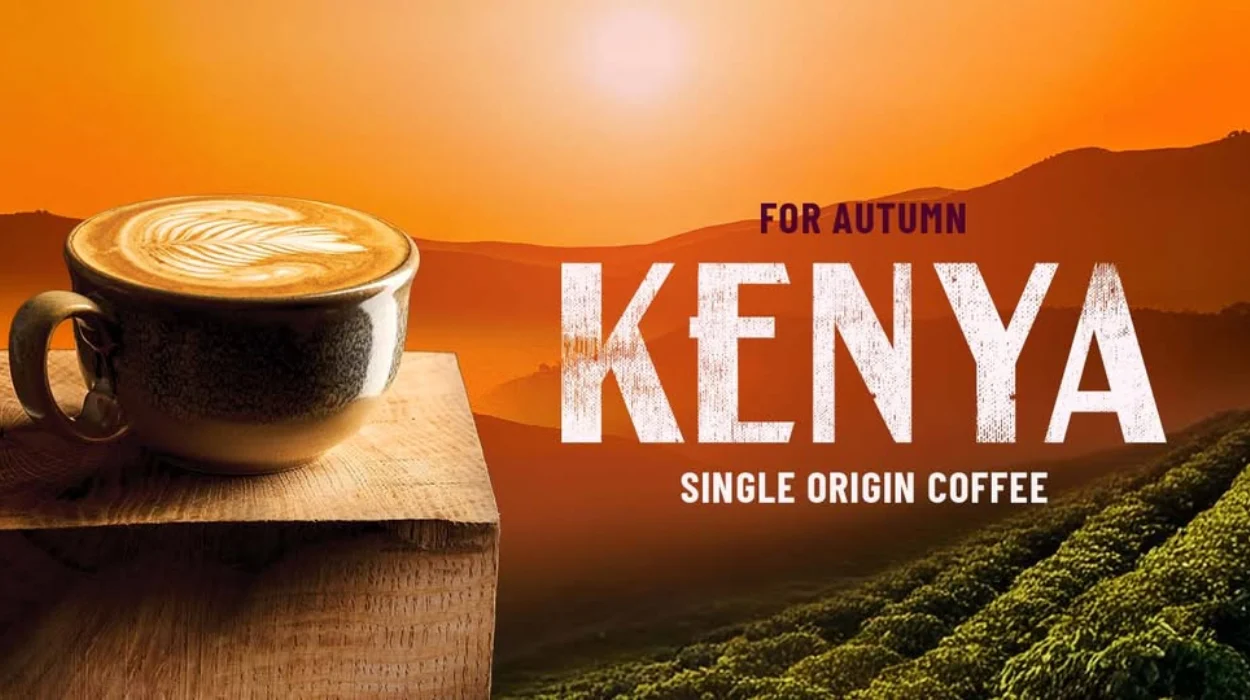 Specialty Coffee Programme Evolution