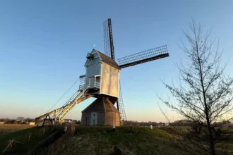 Stichting Kempens Landschap seeks millers for Gansakkermolen 