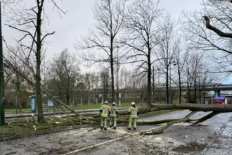 Storm Floriane causes injuries and warnings in Belgium