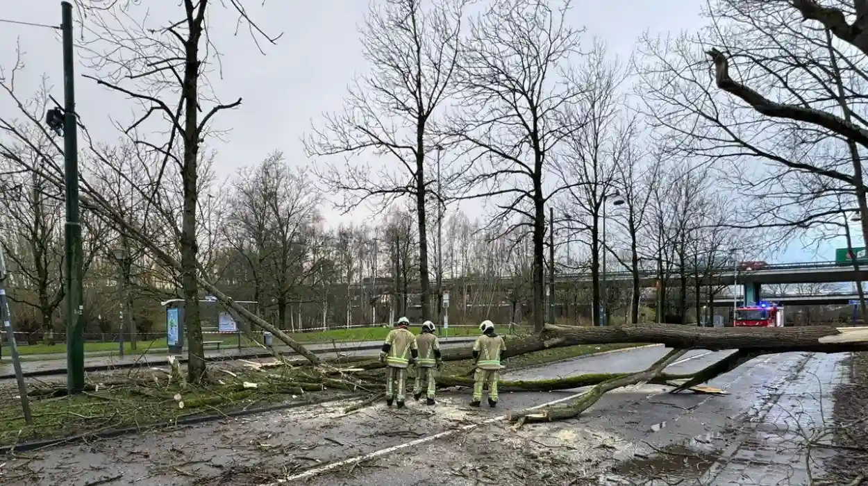 Storm Floriane causes injuries and warnings in Belgium