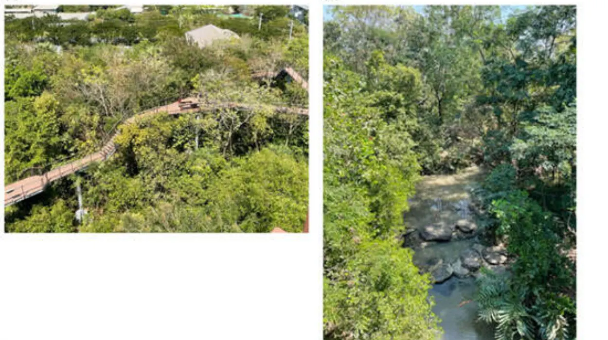 Technical Innovations in Design