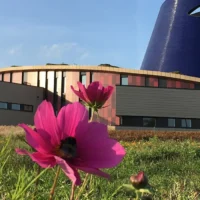 Tessenderlo launches cemetery greening project with IOED, Bouve