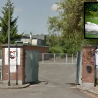 The Flemish government supports 29 Antwerp Animal Shelters