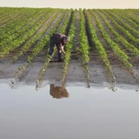 The future of farming