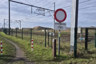 Tielt forest project faces uncertainty amid NMBS land sale