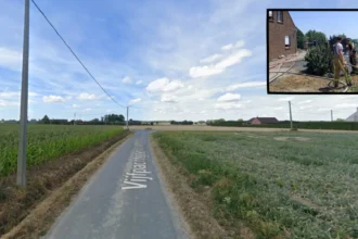 Tielt hedge burns after barbecue coal mishap