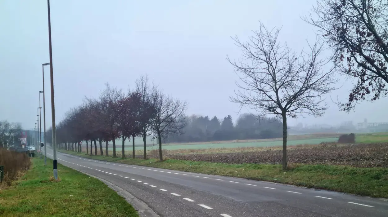 Tienen's 47.5-hectare industrial project