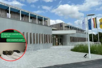 TikTok AI homeless prank in Zellik sparks police response