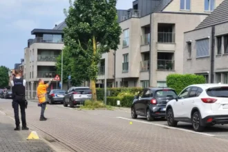 Toddler dies after Mechelen traffic accident