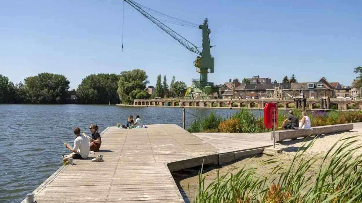 Toxic blue-green algae found in Ghent waterways