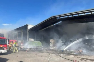 Train traffic resumes Vilvoorde–Mechelen after fire