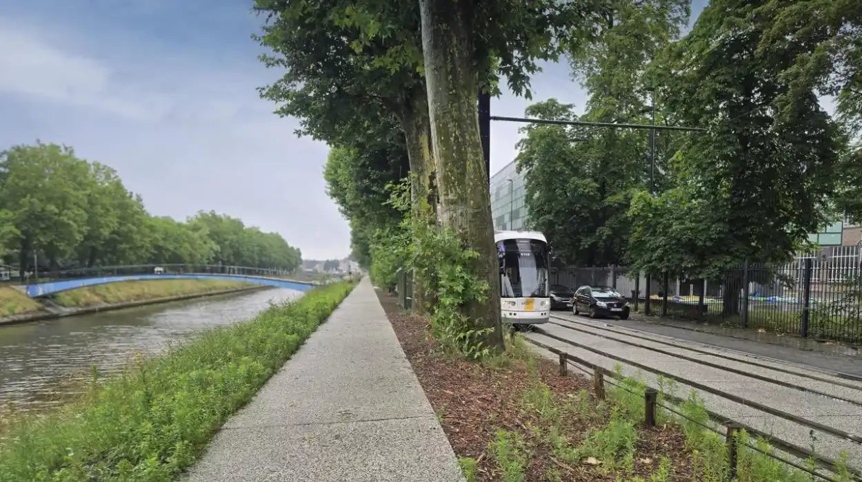 Tram T4 returns to full service after major renovations in Ghent