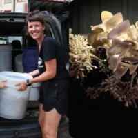 Transforming waste in Halle